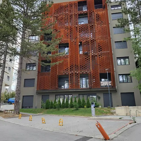 19 Merlinka Lux Zlatibor