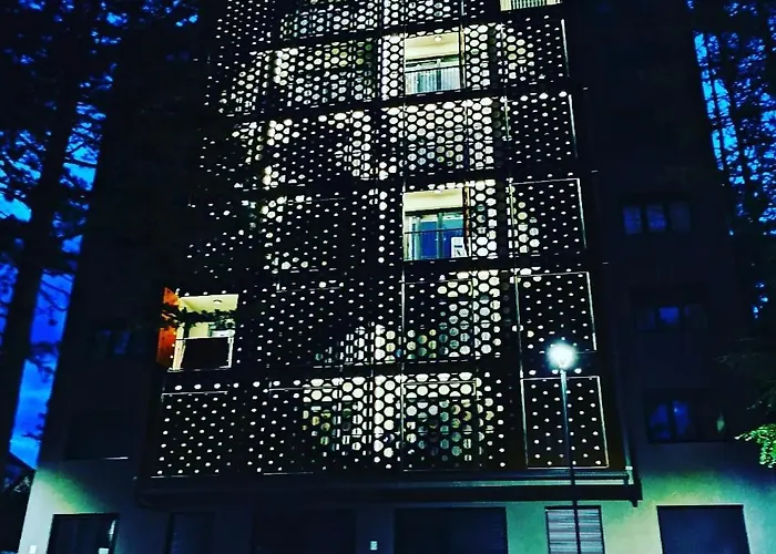 19 Merlinka Lux Daire Zlatibor